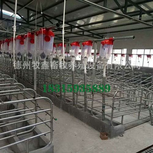 养殖料线的系统工作流程是什么呢？