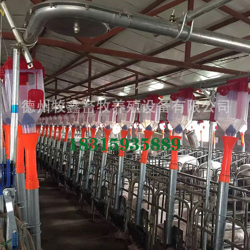 透明定量杯怎么节省饲料？