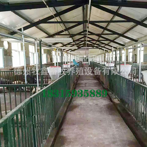 塞盘料线厂家洽谈分享塞盘料线在养猪场应用有什么优势？