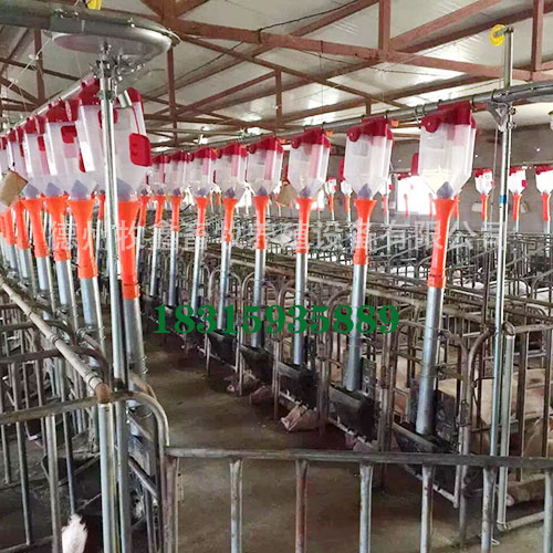 猪场自动喂料料线堵塞了怎么处理